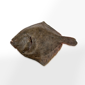 Rodaballo - Al peso (1,25 kg aprox.)