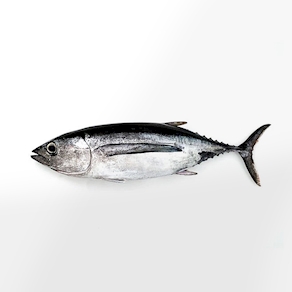 Bonito - Al peso (500 gr aprox.)